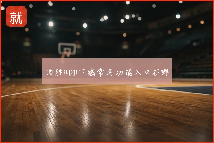 顶胜app下载常用功能入口在哪