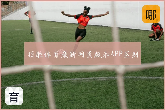 顶胜体育最新网页版和APP区别